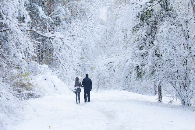 De beste winterwandelroutes in Nederland